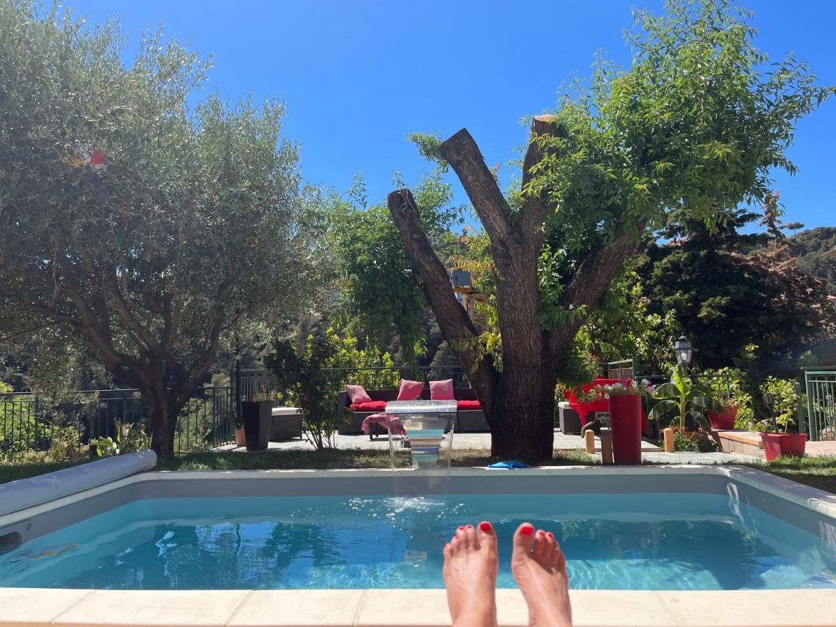 Appartement Studio Cimiez Piscine Et Jardin *